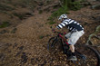 Photo: Rider in action Rider in action