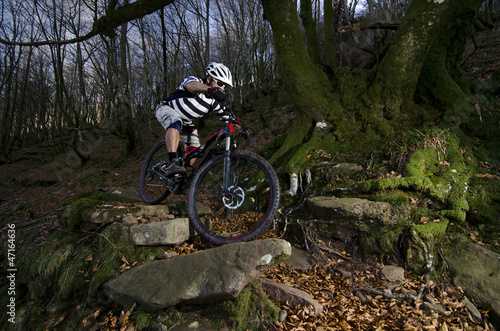 Photo: Rider in action Rider in action