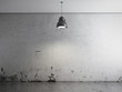 Room with ceiling lamp and concrete floor