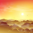 Forest Landscape