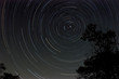 Startrail with tree silhouette at night