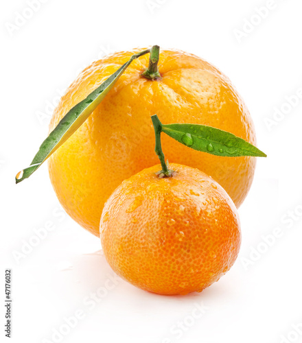 Photo: Orange and tangerine with water drops isolated on white Orange and tangerine with water drops isolated on white