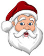 Confused Santa Claus Face Side View