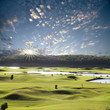 Green place with nice green for adv or others purpose use