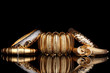 Beautiful golden bracelets isolated on black background