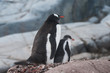 Mother protects her child from the cold wind