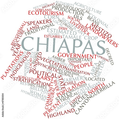Illustration: Word cloud for Chiapas Word cloud for Chiapas