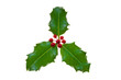Sprig of holly with berries, isolated on white