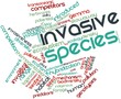 Word cloud for Invasive species