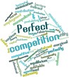 Word cloud for Perfect competition