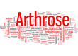 Arthrose