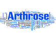 Arthrose