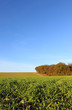 Herbst im Sauerland