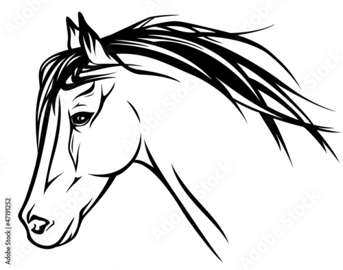 Vector: running horse head - realistic vector illustration running horse head - realistic vector illustration