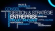 Conseil gestion stratégie entreprise nuage de mots animation