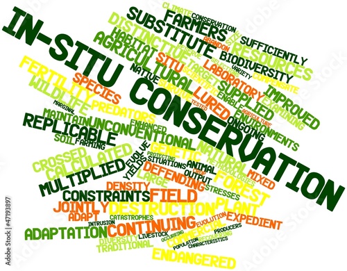 Illustration: Word cloud for In-situ conservation Word cloud for In-situ conservation