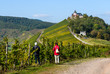 Weinbergswanderung