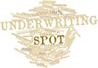 Word cloud for Underwriting spot
