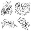 vine leaves_drawing_black_white
