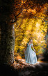 Lovely young lady wearing elegant white dress in the woods