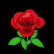 red plastic rose
