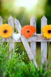 canvas print picture - Blumen