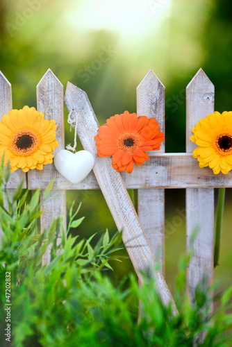 Photo: Blumen Blumen