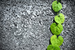 Concrete block background