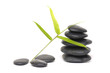 Photo: stone with bamboo leaf stone with bamboo leaf
