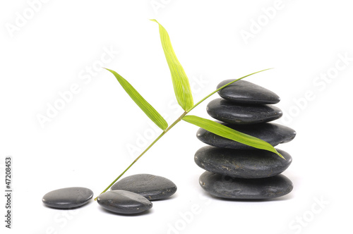 Photo: stone with bamboo leaf stone with bamboo leaf