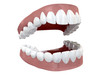 Teeth Set Open Isolated