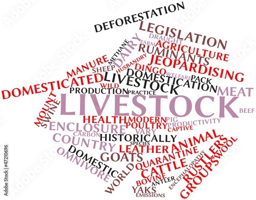 Illustration: Word cloud for Livestock Word cloud for Livestock
