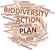 Word cloud for Biodiversity action plan