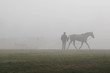 Photo: Horse lunging, Blenheim 2012 Horse lunging, Blenheim 2012