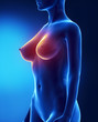 Female with highlited breast area
