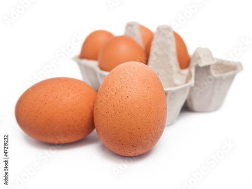 Photo: Eierkarton mit 6 Eiern Eierkarton mit 6 Eiern