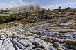 Dolomiti