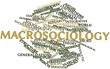 Word cloud for Macrosociology
