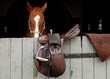 horse in the stable with the door slung saddle