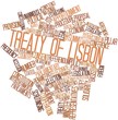 Word cloud for Treaty of Lisbon