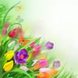 Floral background