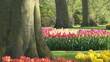 Park Keukenhof
