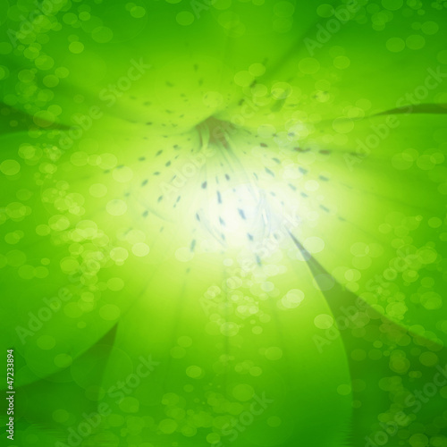 Illustration: Green and fresh background Green and fresh background