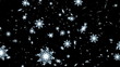 Falling snowflakes on a black background