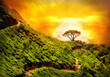 Tea plantation in Munnar