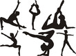 gymnastics and fitness
