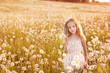 Photo: little girl with dandelions little girl with dandelions