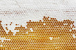 yellow beautiful honeycomb with honey
