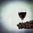 red wine red grapes