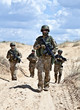 Patroling the desert